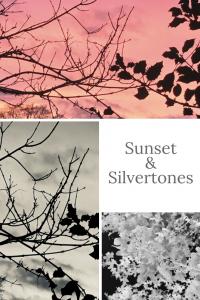 Sunsets and Silvertones